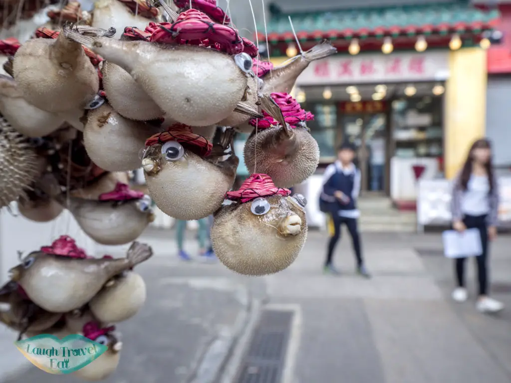 puffer-fish-tai-o-lantau-hong-kong-laugh-travel-eat