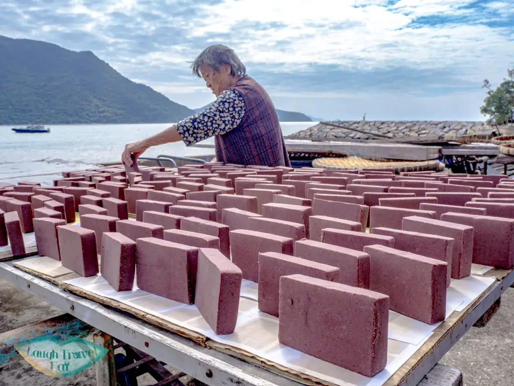 shrimp-brick-tai-O-lantau-hong-kong-laugh-travel-eat