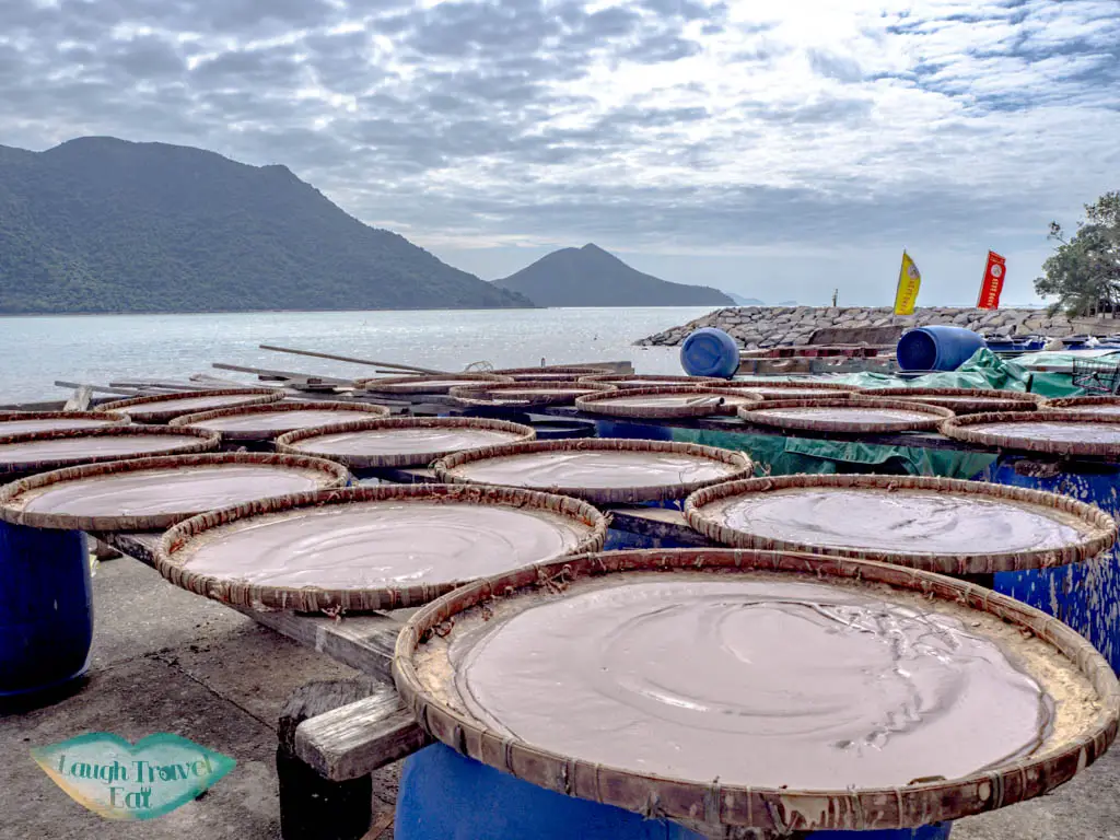 shrimp-paste-tai-O-lantau-hong-kong-laugh-travel-eat