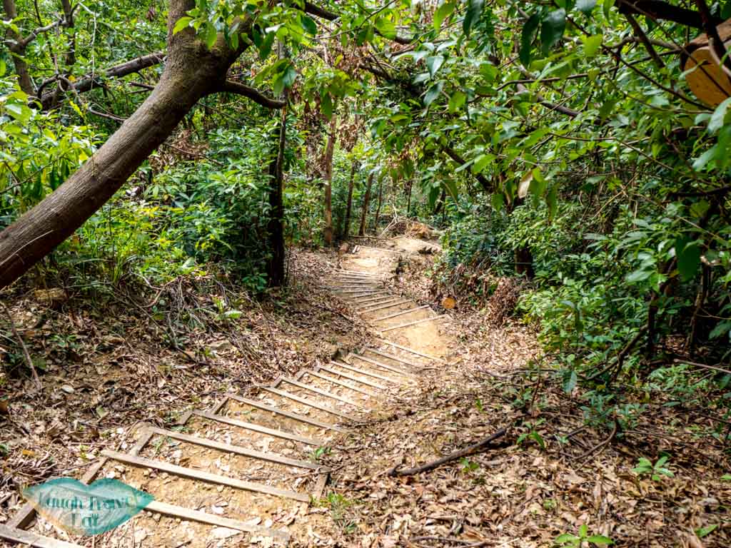 trail-going-up-to-wo-yang-shan-hong-kong-laugh-travel-eat-3