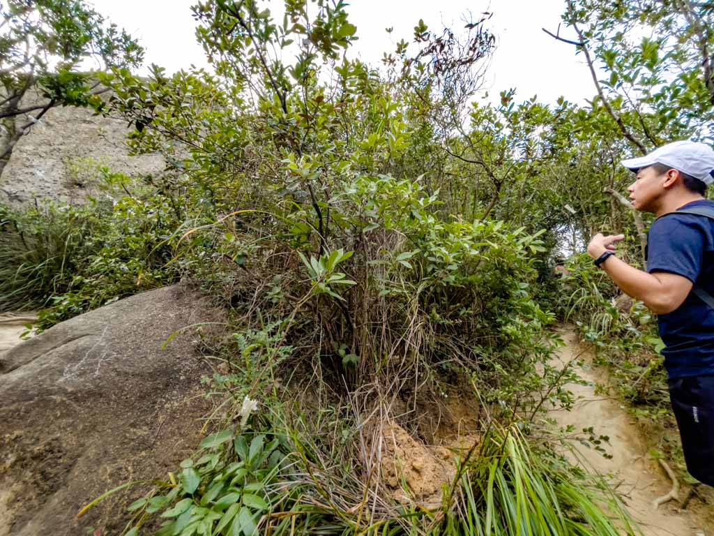 going up to hung heung lo fung from sir cecil's ride hong kong - laugh travel eat