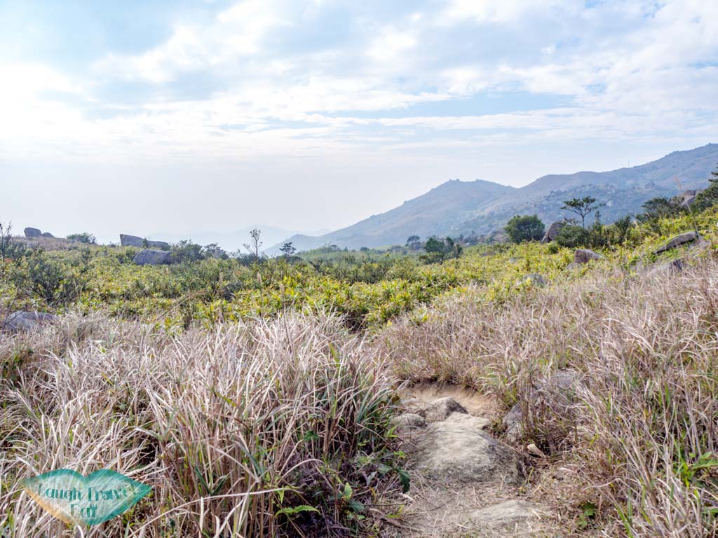 grass-field-heading-towards-tai-mo-shan-lookout-wo-yang-shan-hong-kong-laugh-travel-eat