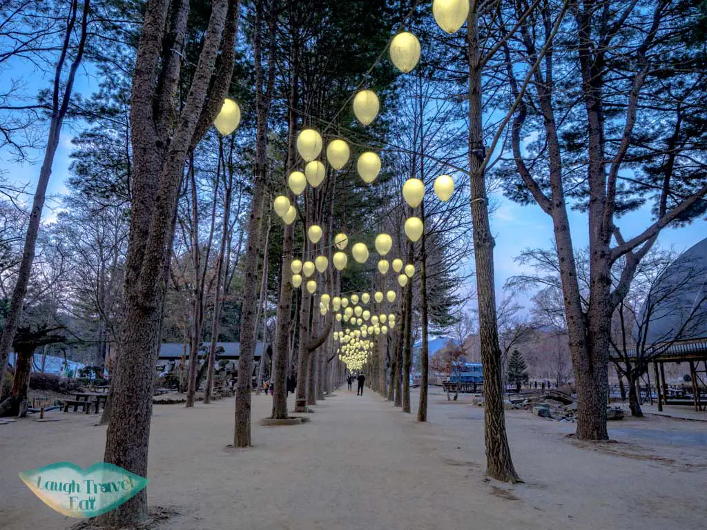 lantern-path-nami-island-gangwon-south-korea-laugh-travel-eat