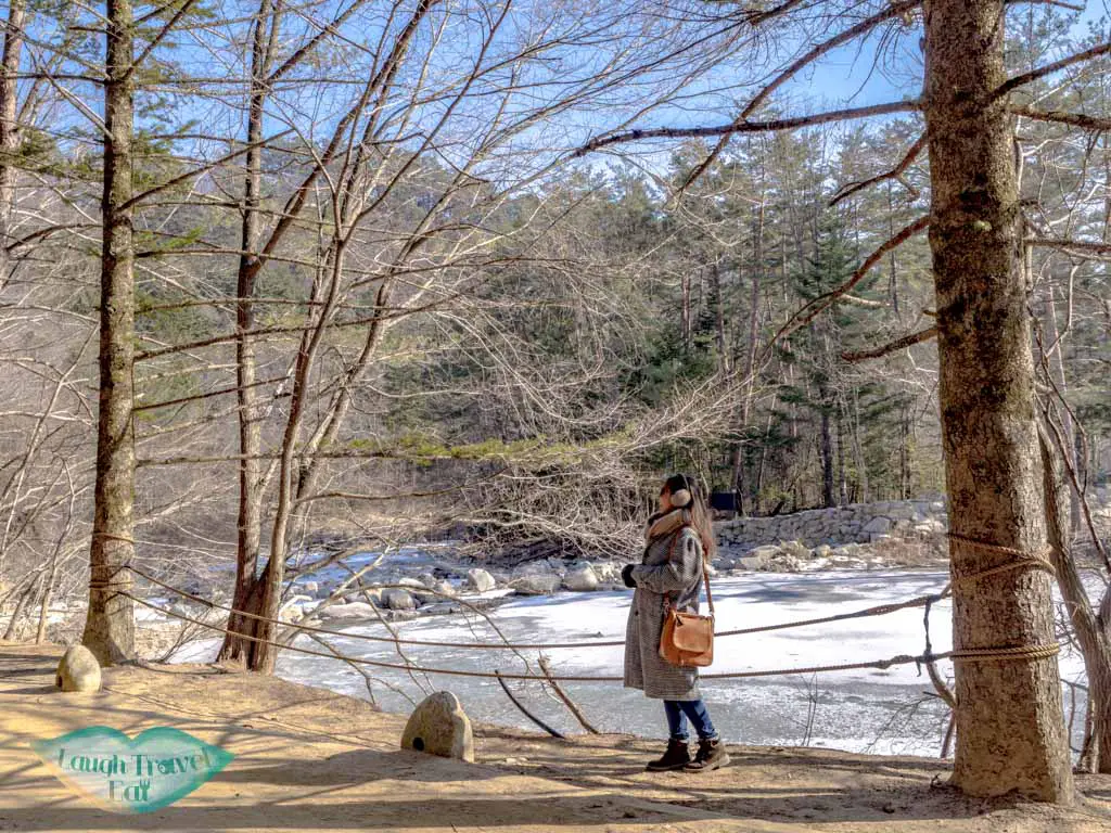 odaeson-national-park-fir-forest-aplensia-ski-resort-pyeongchang-gangwon-south-korea-laugh-travel-eat