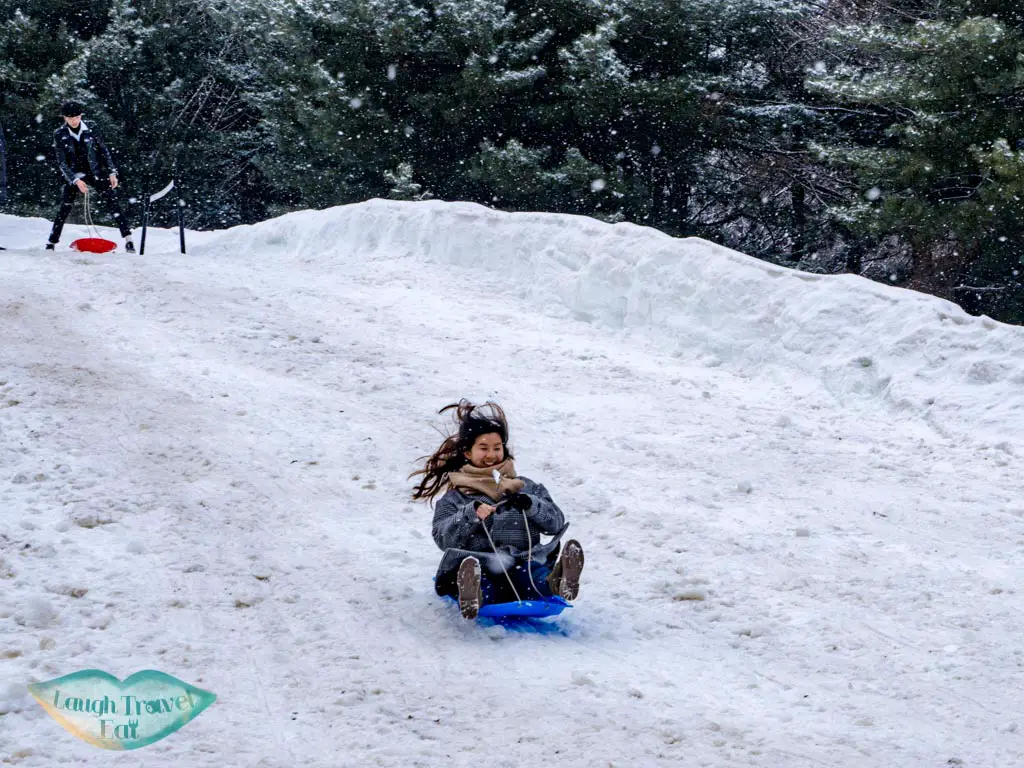 sledging-on-nami-island-gangwon-south-korea-laugh-travel-eat