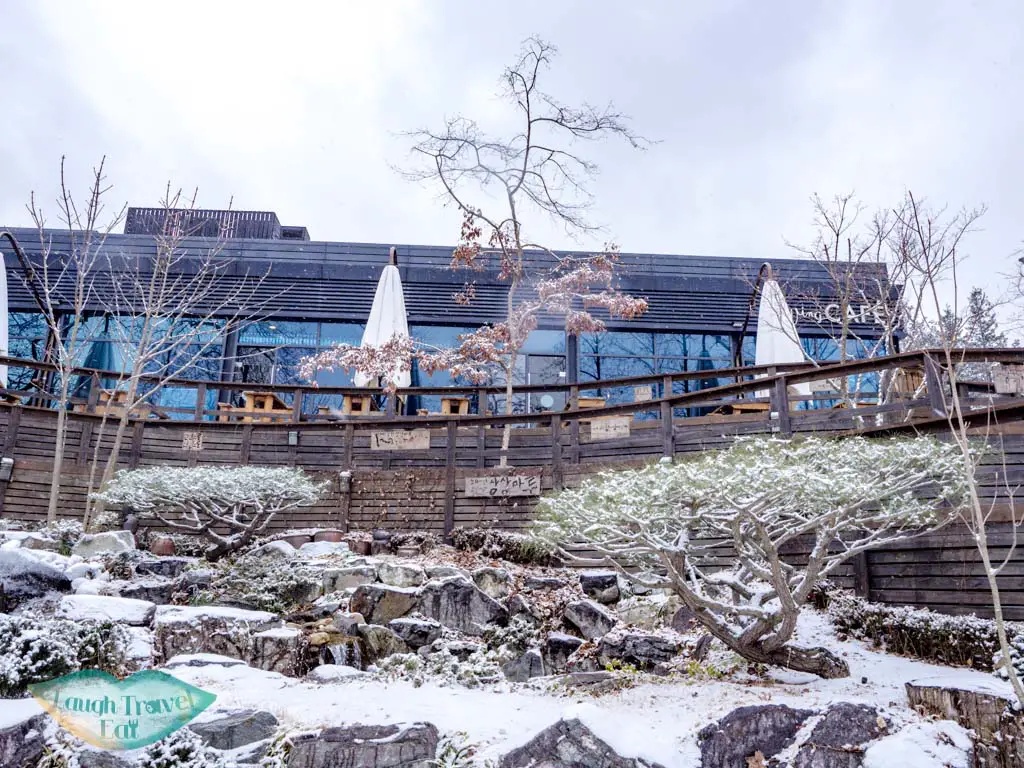 swing-cafe-nami-island-gangwon-south-korea-laugh-travel-eat