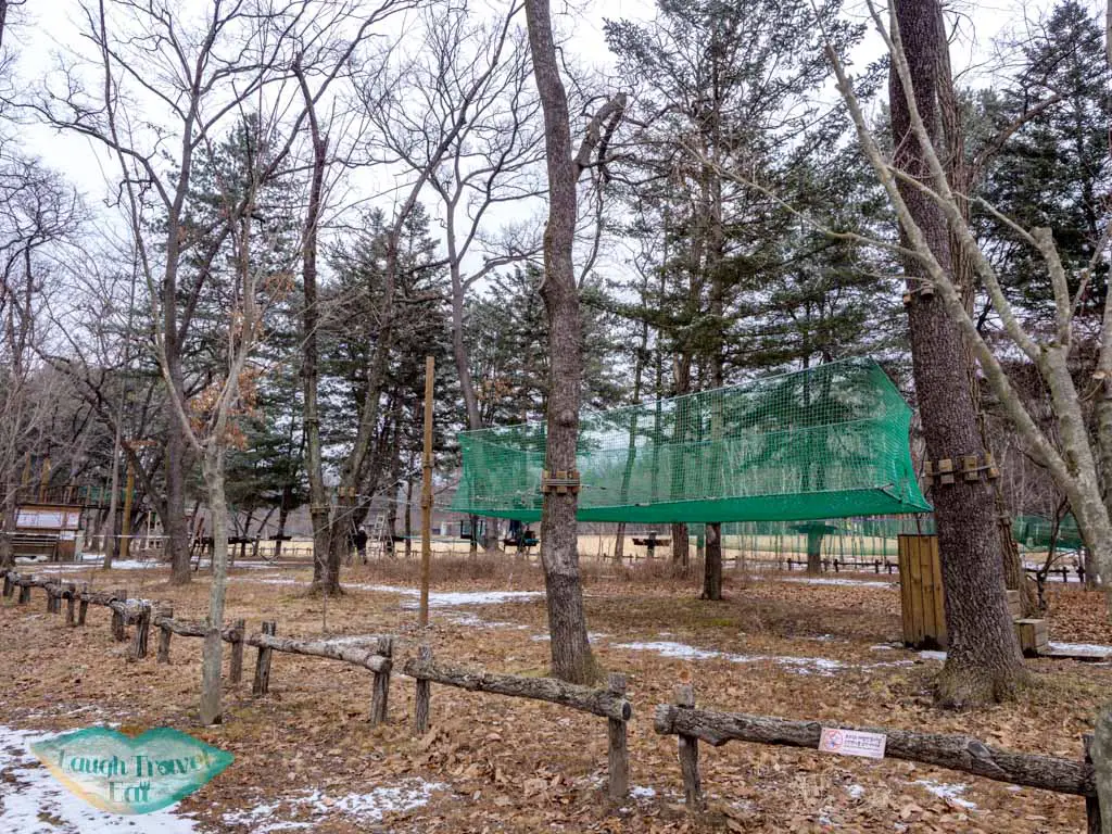 treeline-adventure-nami-island-gangwon-south-korea-laugh-travel-eat