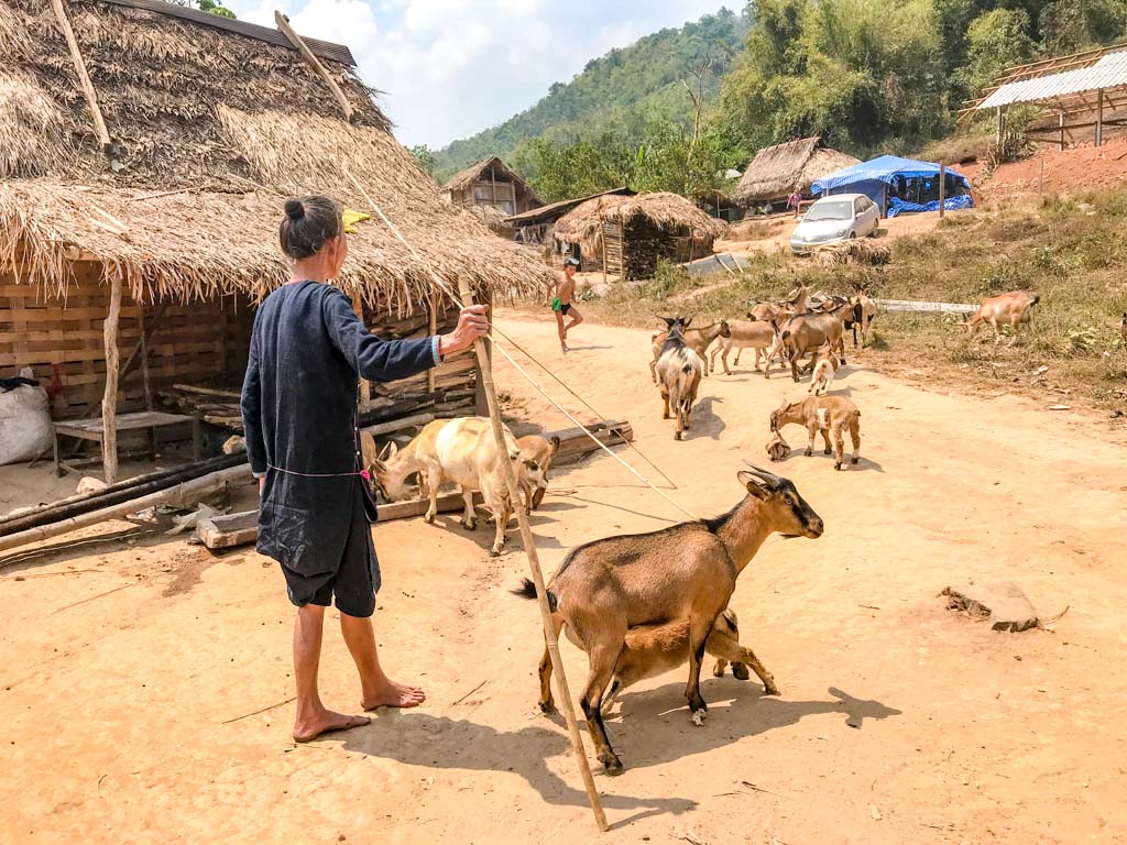 Nam-Koi-village-nam-ha-national-park-luang-namtha-laos-laugh-travel-eat-2