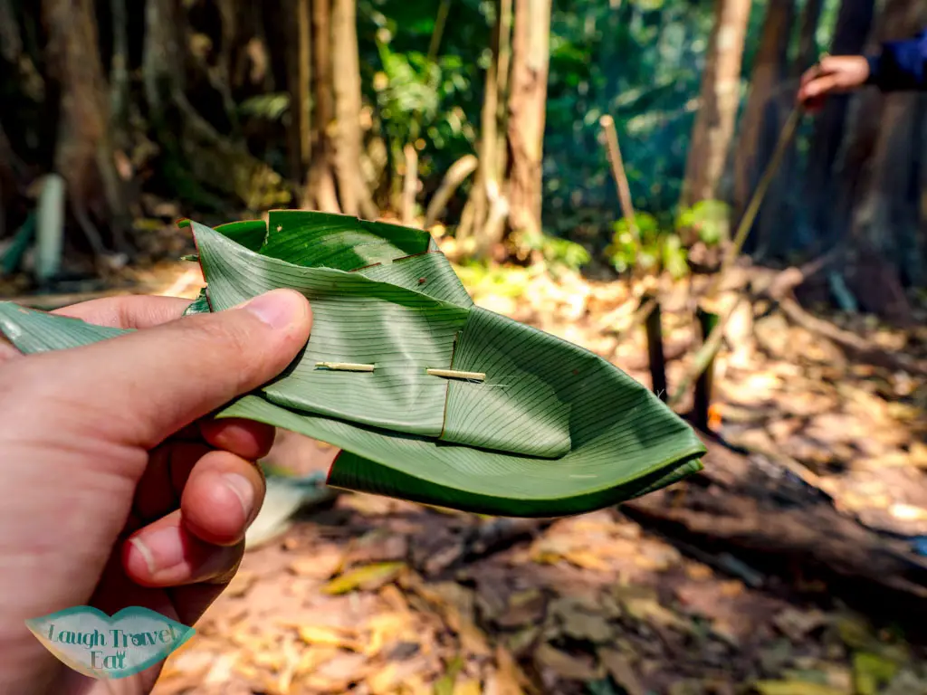 leave-spoon-nam-ha-national-park-luang-namtha-laos-laugh-travel-eat