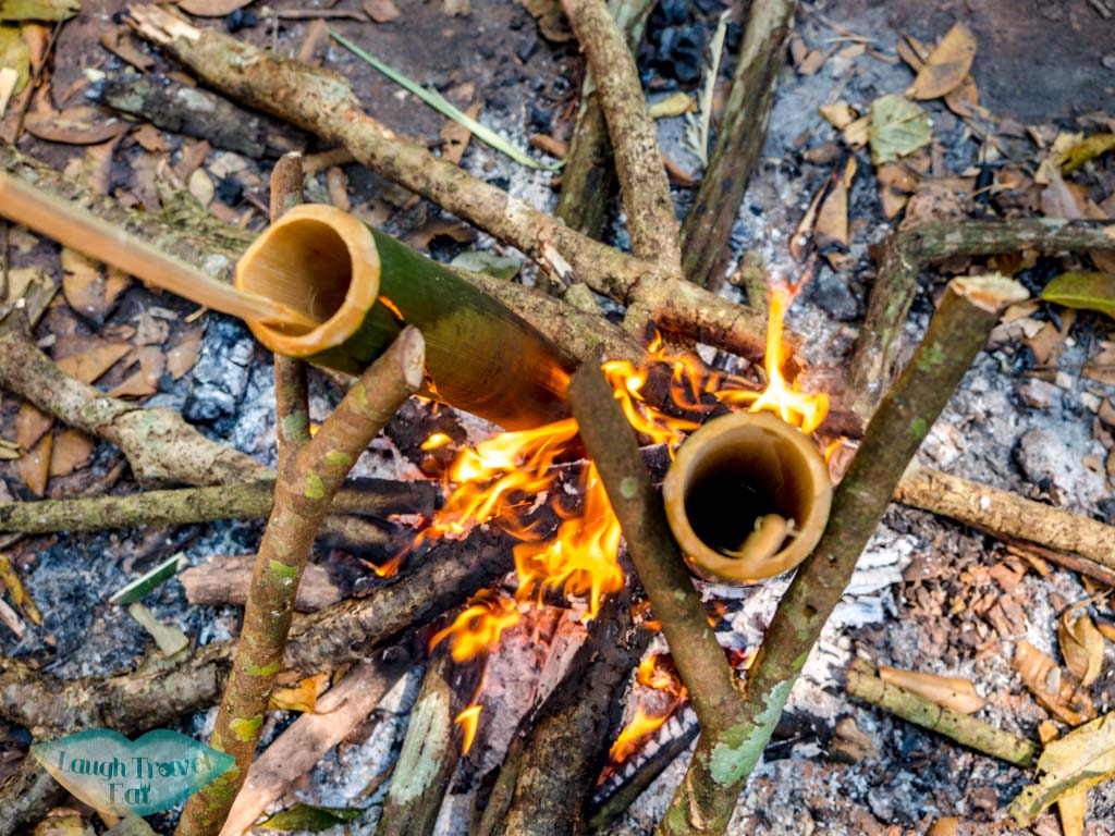 lunch-cooking-nam-ha-national-park-luang-namtha-laos-laugh-travel-eat-2