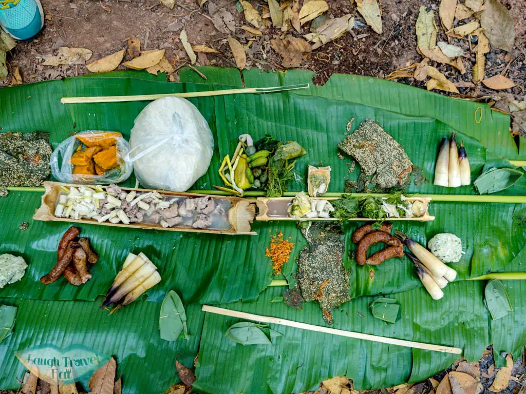 lunch-nam-ha-national-park-luang-namtha-laos-laugh-travel-eat