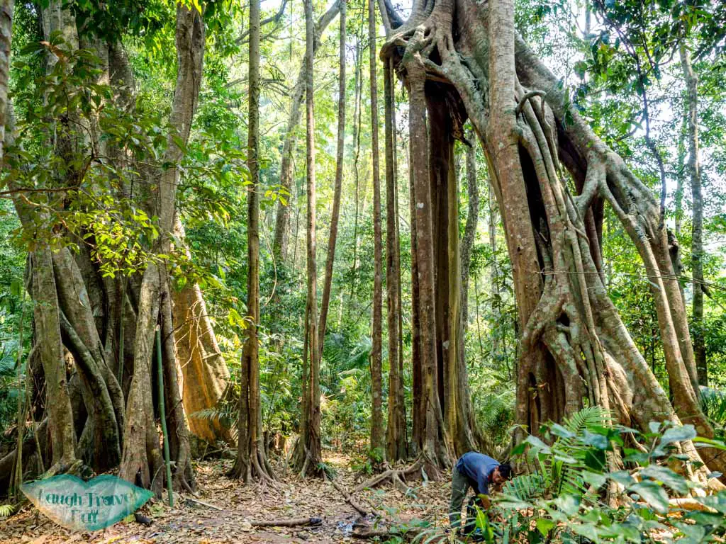 lunch-tree-clearing-nam-ha-national-park-luang-namtha-laos-laugh-travel-eat