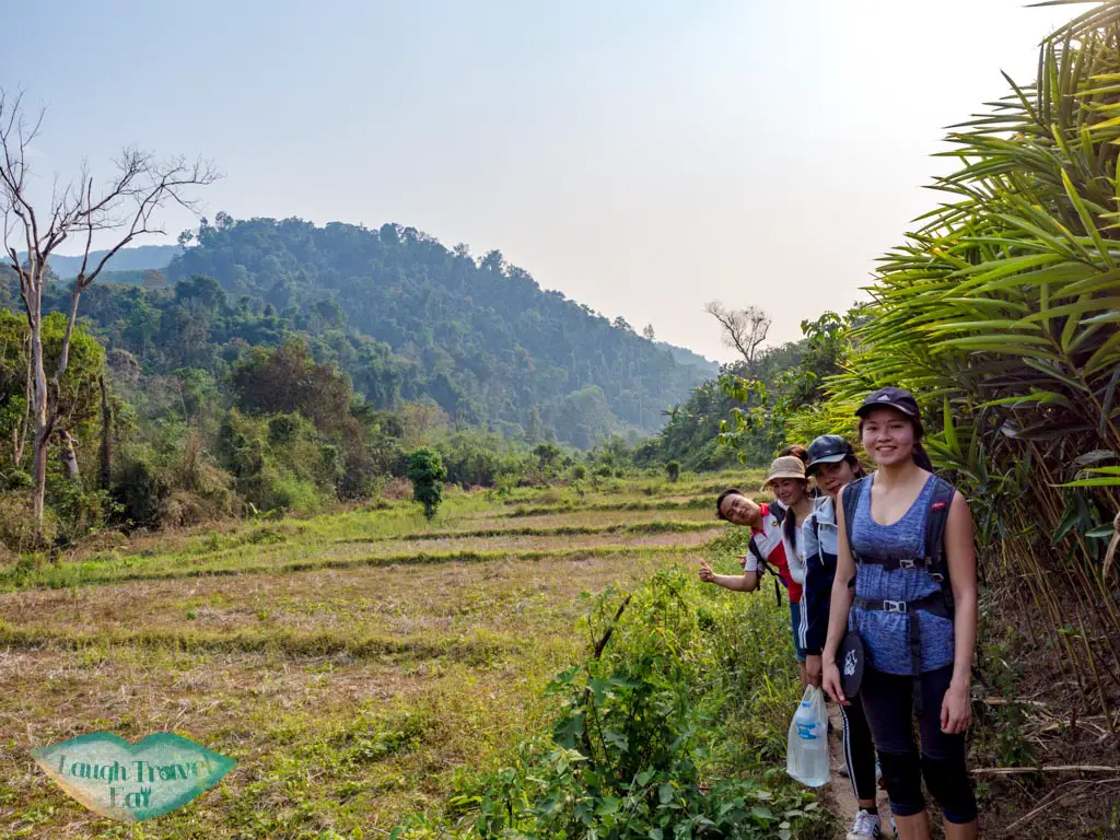 more-clear-forest-nam-ha-national-park-luang-namtha-laos-laugh-travel-eat-3