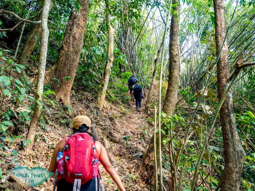 post-jungle-camp-narrow-trail-nam-ha-national-park-luang-namtha-laos-laugh-travel-eat-2