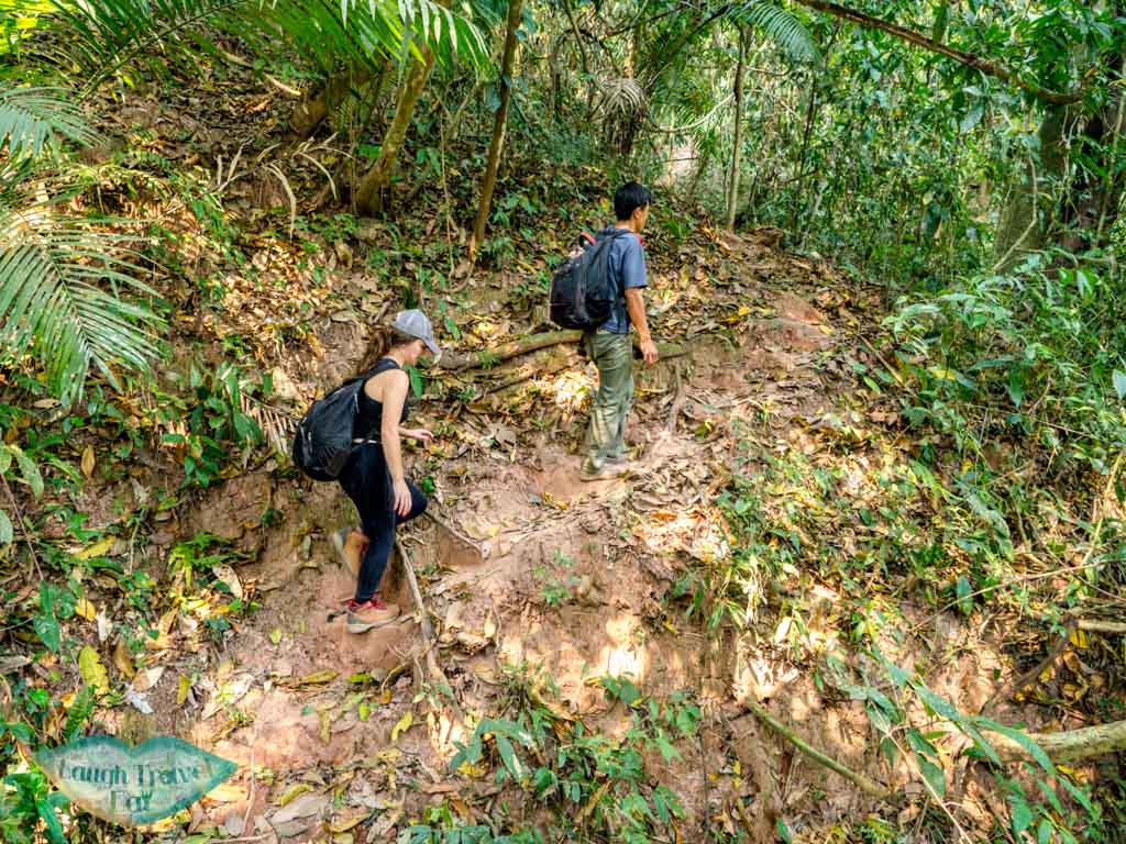 post-lunch-up-and-down-hike-nam-ha-national-park-luang-namtha-laos-laugh-travel-eat-2