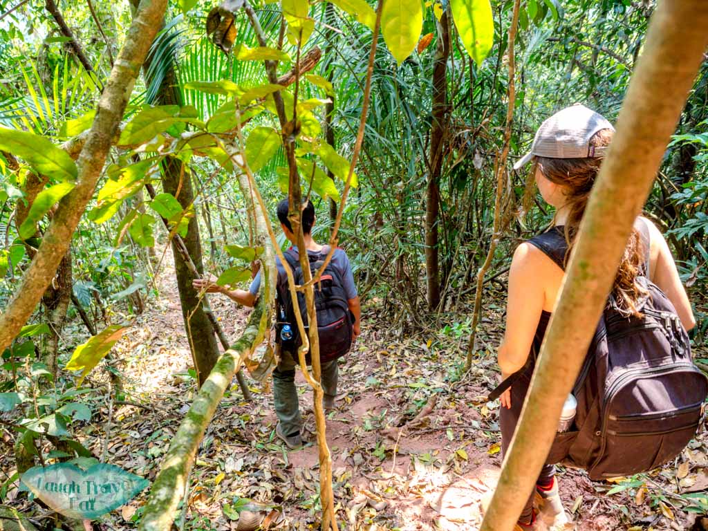 post-lunch-up-and-down-hike-nam-ha-national-park-luang-namtha-laos-laugh-travel-eat