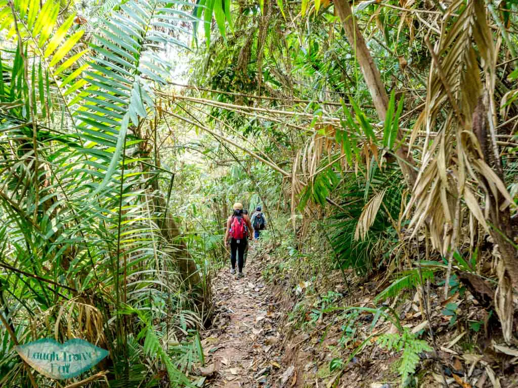 pre-lunch-landscape-trek-in-nam-ha-national-park-luang-namtha-laos-laugh-travel-eat-2