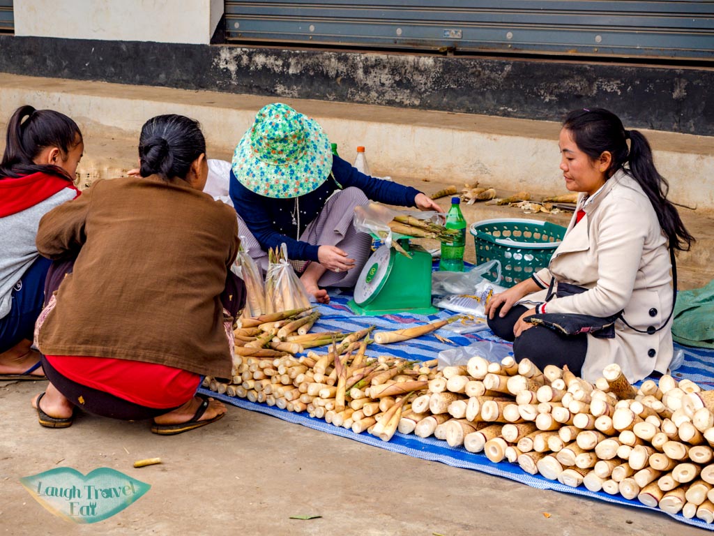 local-lady-selling-bamboo-shoots-morning-market-houay-xay-laos-laugh-travel-eat
