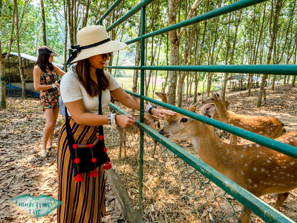 me-with-deers-Phouphetpheoukham-Garden-Vieng-Phou-Kha-laos-laugh-travel-eat