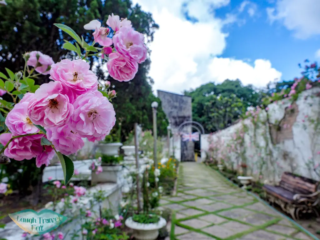english-garden-Kundasang-War-Memorial-kota-kinabalu-sabah-malaysia-laugh-travel-eat