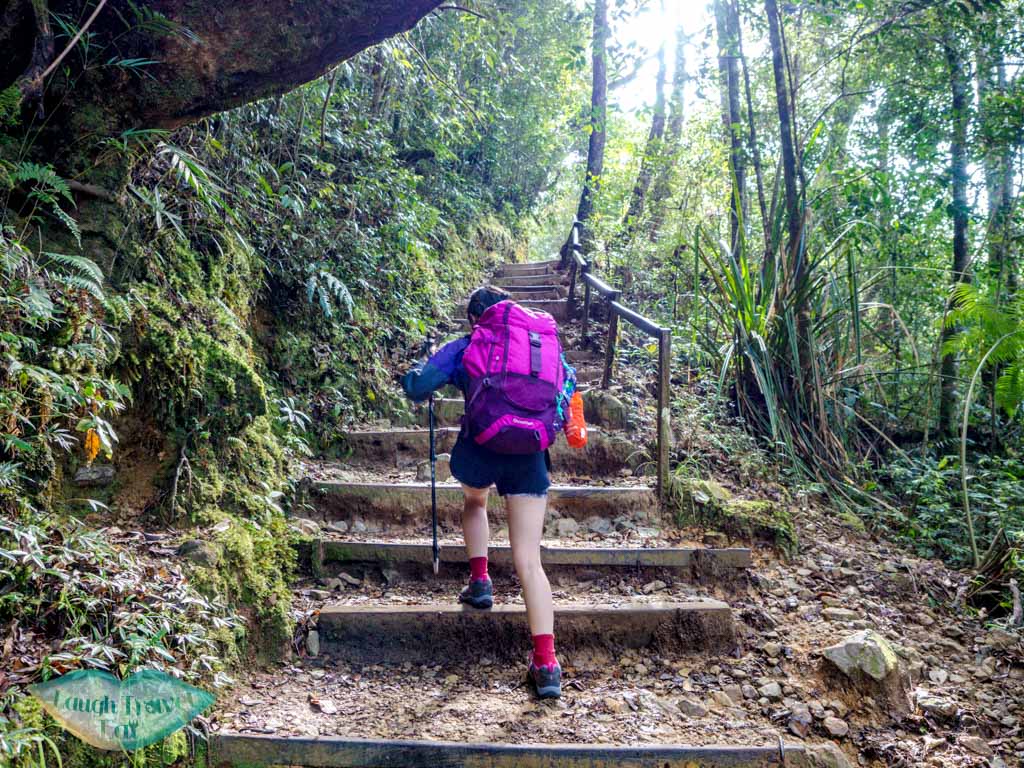 staircase-up-mount-kinabalu-sabah-malaysia-laugh-travel-eat