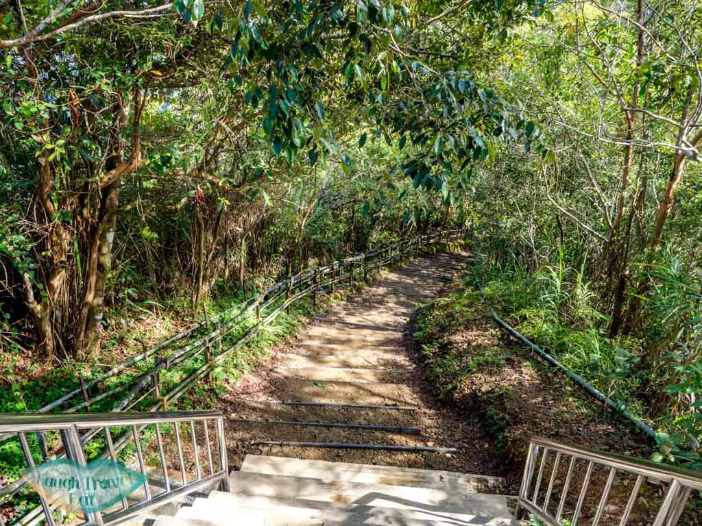 stairs-down-from-timpohon-gate-mount-kinabalu-sabah-malaysia-laugh-travel-eat