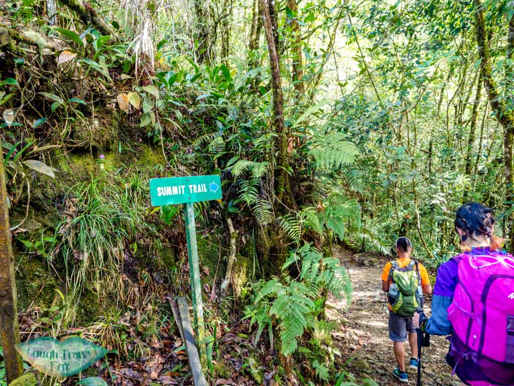 start-of-hike-mount-kinabalu-sabah-malaysia-laugh-travel-eat