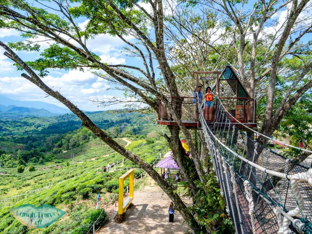 tree-house-sabah-tea-kota-kinabalu-sabah-malaysia-laugh-travel-eat