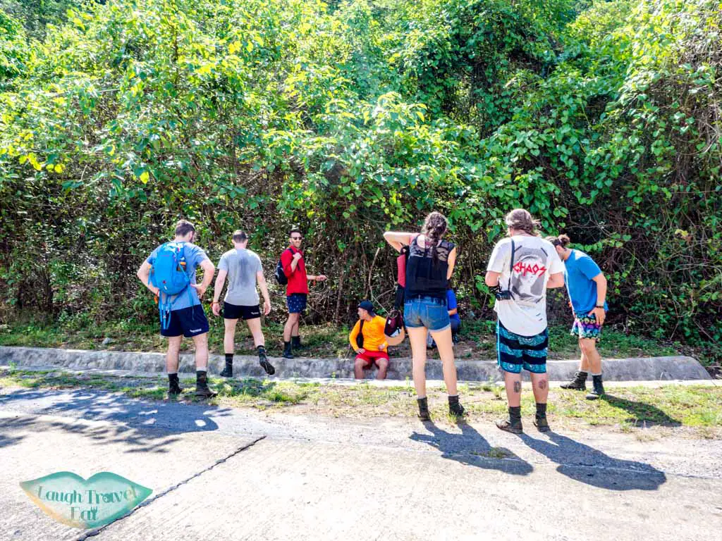 back on ho chi minh trail to elephant cave phong nha vietnam - laugh travel eat