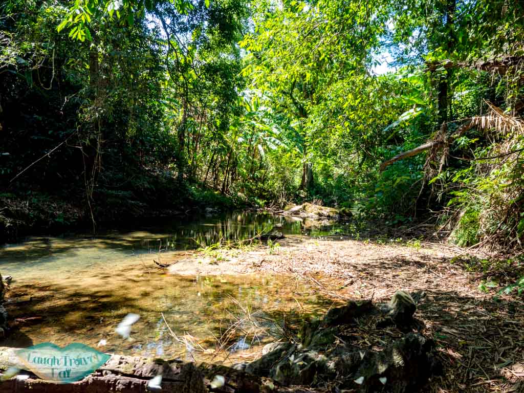 walking in stream ma da lake to elephant cave phong nha vietnam - laugh travel eat