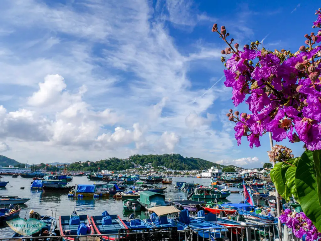 flowers and port Cheung Chau, Hong Kong - Laugh Travel Eat