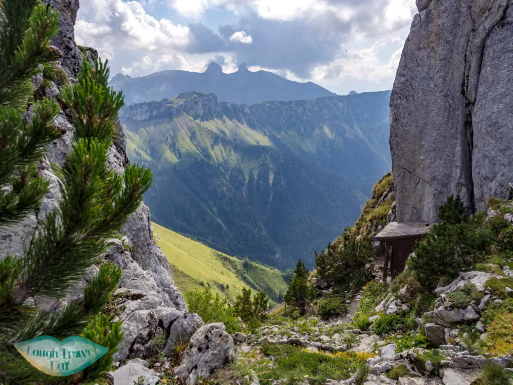 alpine garden Rocher de Nayes Montreux switzerland - laugh travel eat-3