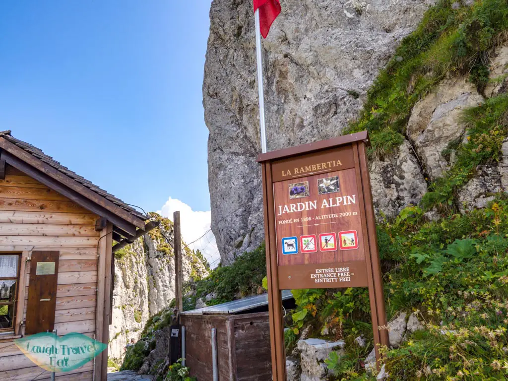 alpine garden Rocher de Nayes Montreux switzerland - laugh travel eat