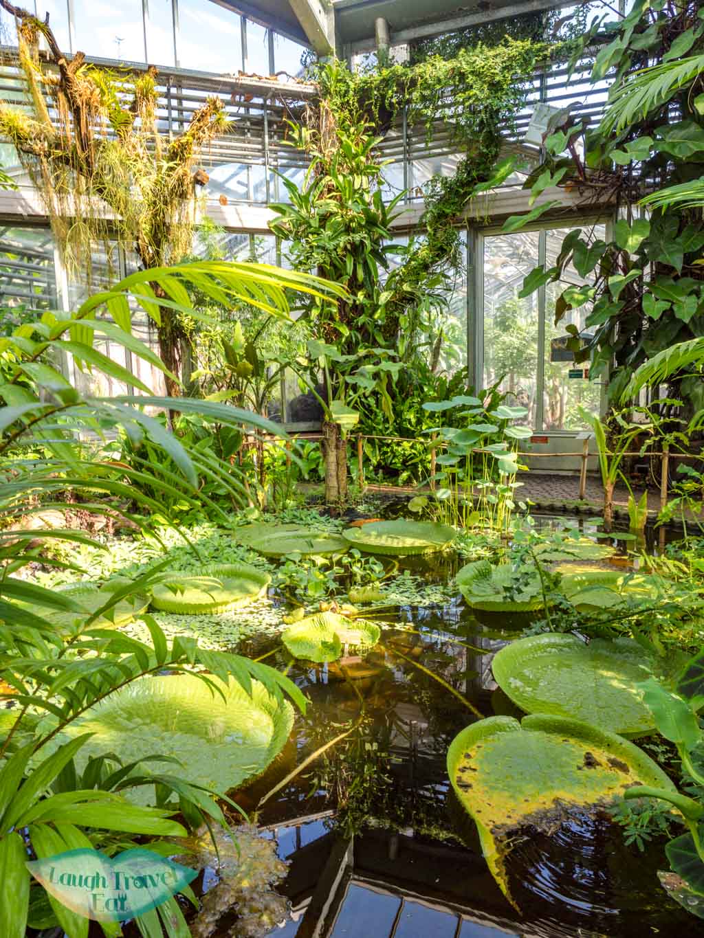 botanical garden geneva switzerland - laugh travel eat-4