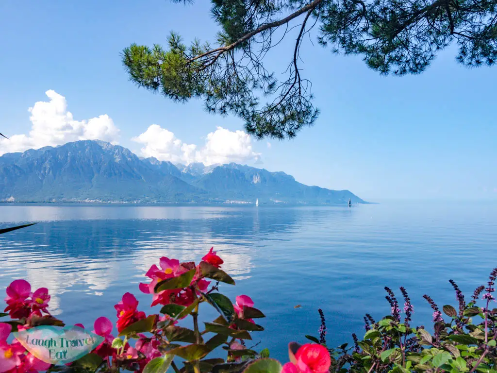 lake front flowers Montreux switzerland - laugh travel eat
