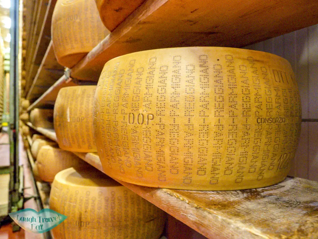 close up of cheese wheel 4 madonna modena italy - laugh travel eat
