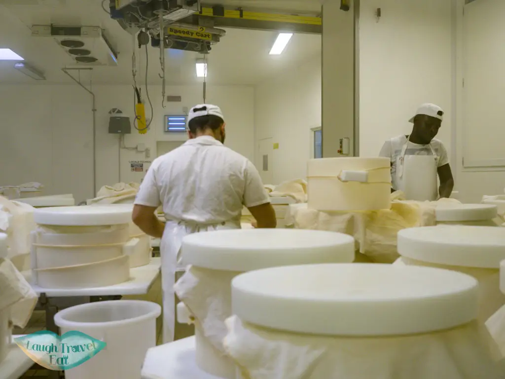 Quattro Madonne parmagiano reggiano factory emilia romagna italy - laugh travel eat-2