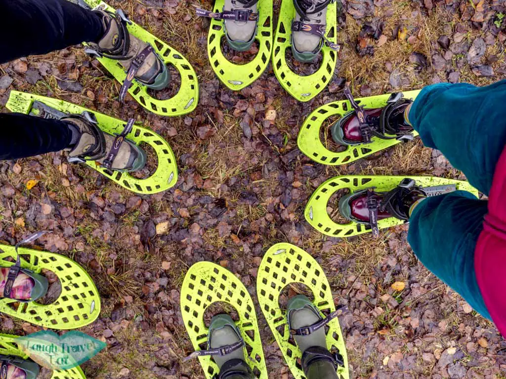 bog shoeing kemeri national park riga latvia - laugh travel eat