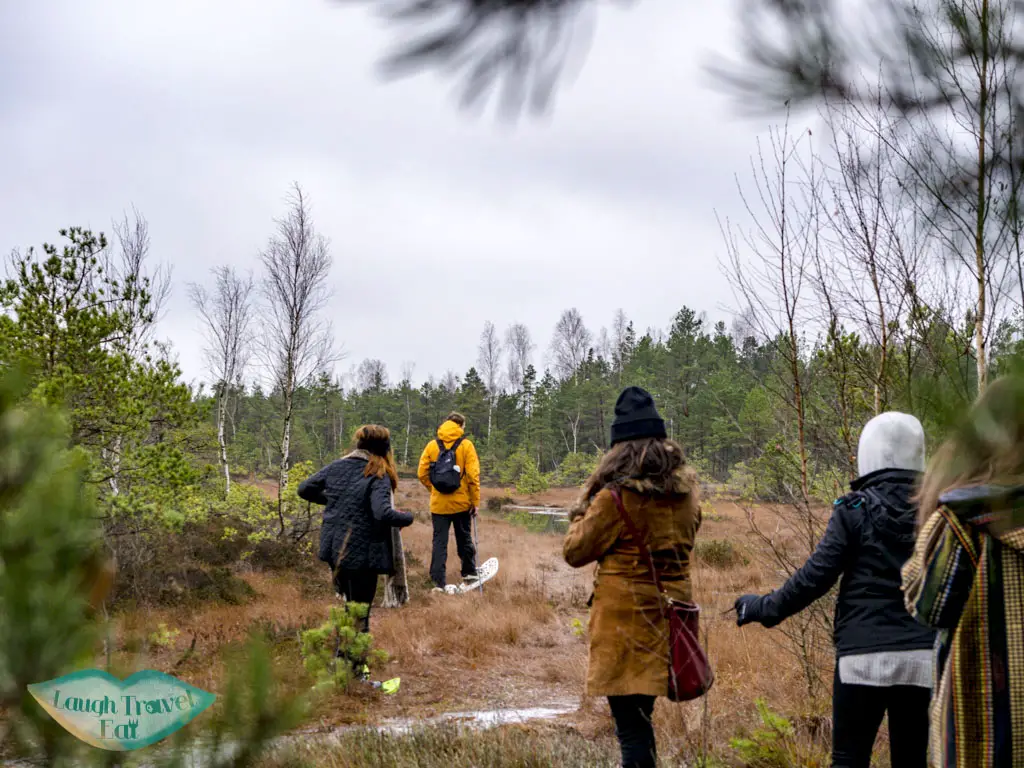 going bog shoeing kemeri national park riga latvia - laugh travel eat