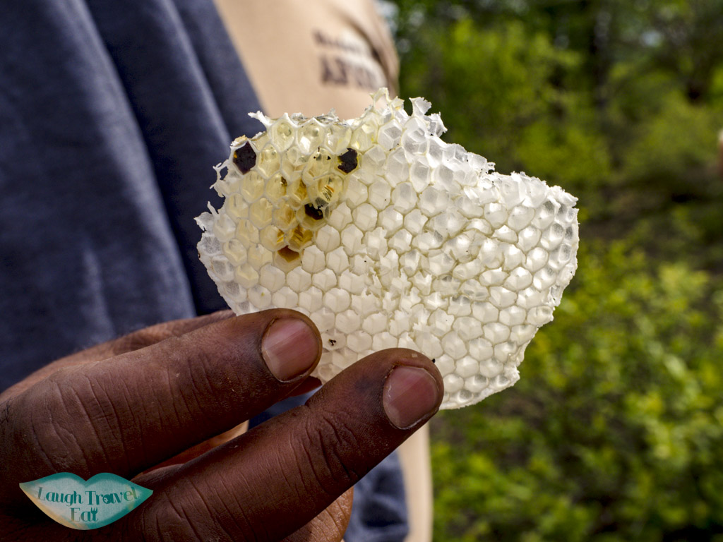 honey hadazan village tanzania africa - laugh travel eat-2