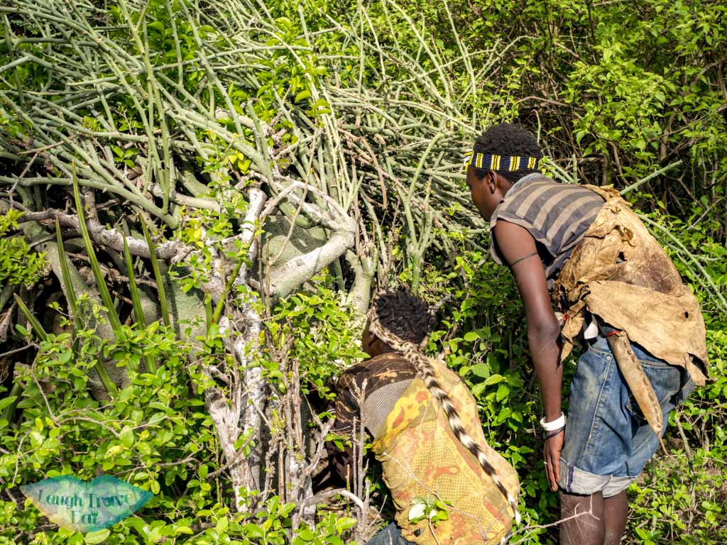 honey hadazan village tanzania africa - laugh travel eat