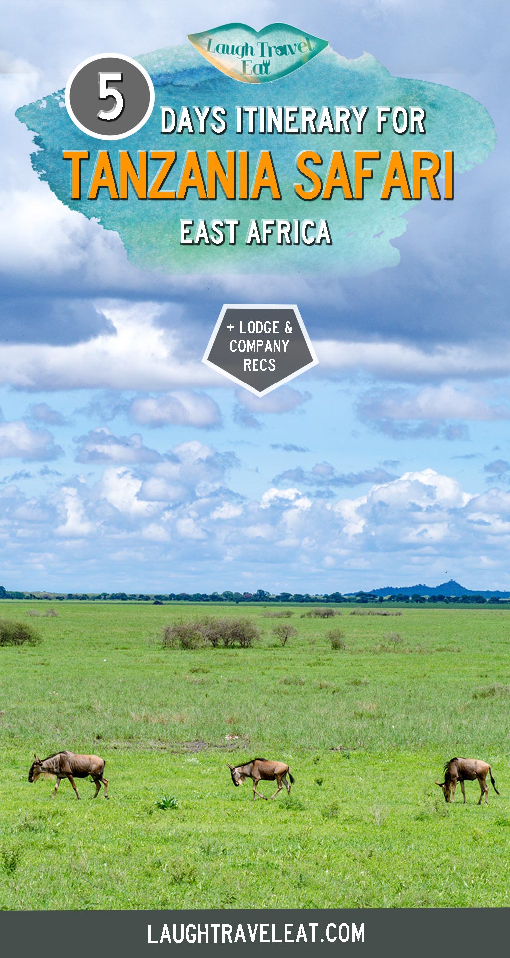 Going on a safari in Tanzania isn’t as expensive as one thinks. I have covered Tanzania Safari tips in this post, so this is more about picking an itinerary and what our 5-day safari is like with Shadows of Africa. Aside from seeing wild animals in national parks, we also pay a visit to local tribes including one that still practice hunter-gatherer: #Tanzania #Safari #Africa