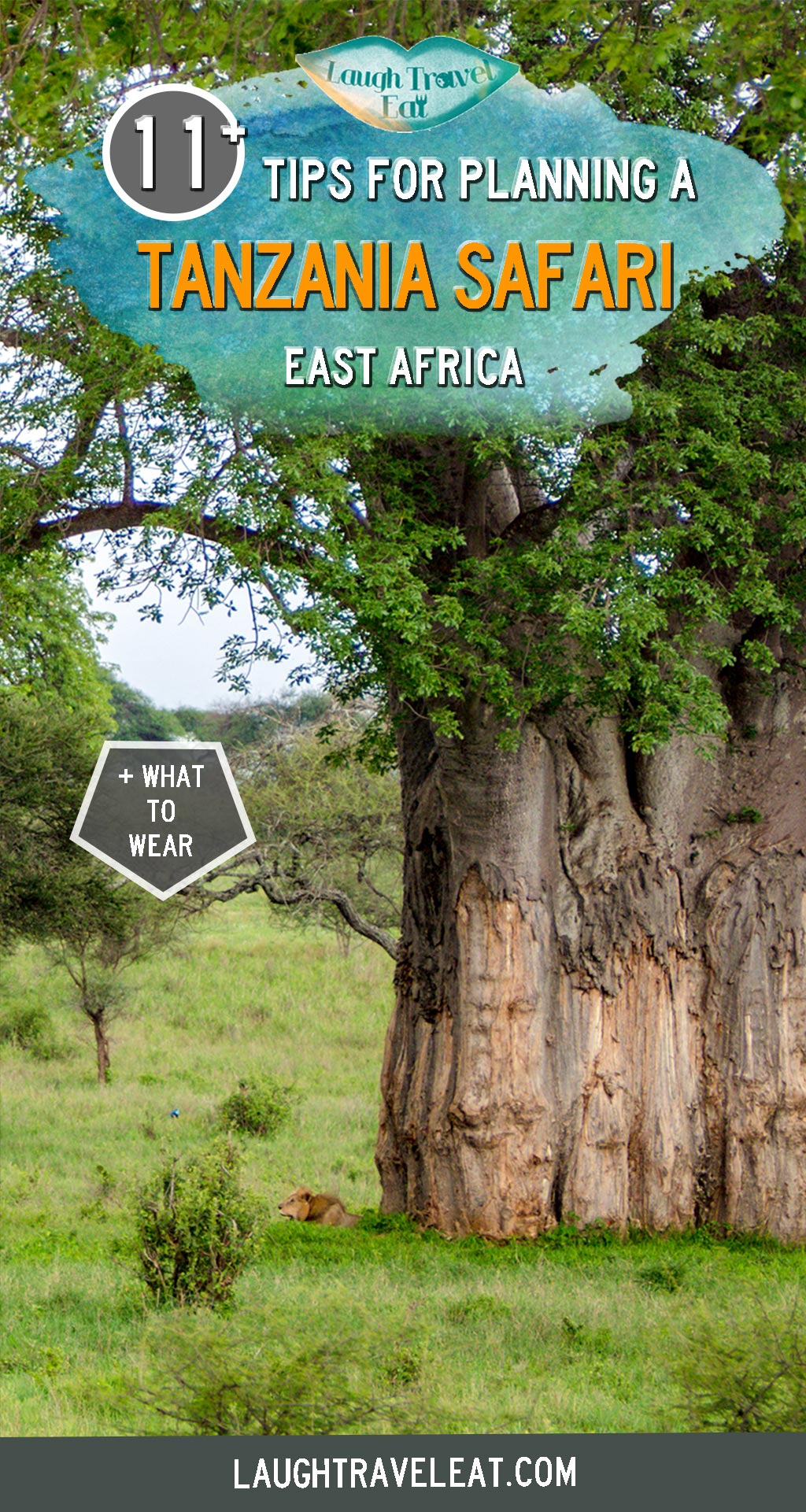 Going on a safari is one of the top things to do in Tanzania and for a good reason. The country is home to some amazing national parks, such as the famed Seregenti where it’s possible to see the big 5 and the natural wonder that is the Ngorongoro Crater. It’s a perfectly good place to break into safari - I had a wonderful 5-day safari with Shadows of Africa. I’ll talk about the safari itinerary here, but first let’s cover some tips for safari and Tanzania: #Tanzania #safari #africa