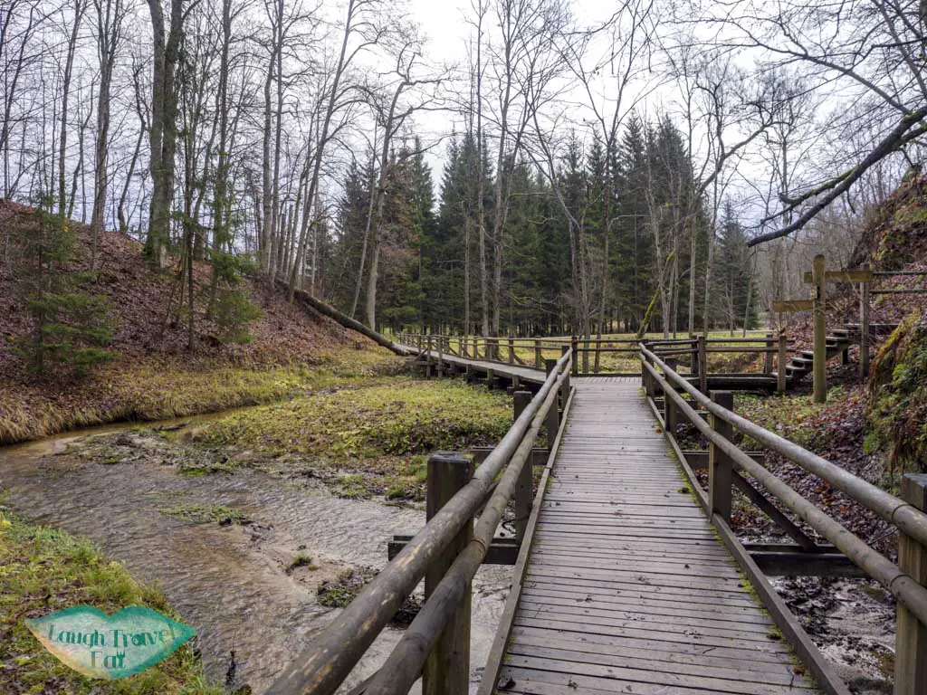 walkways in gauja national park latvia - laugh travel eat