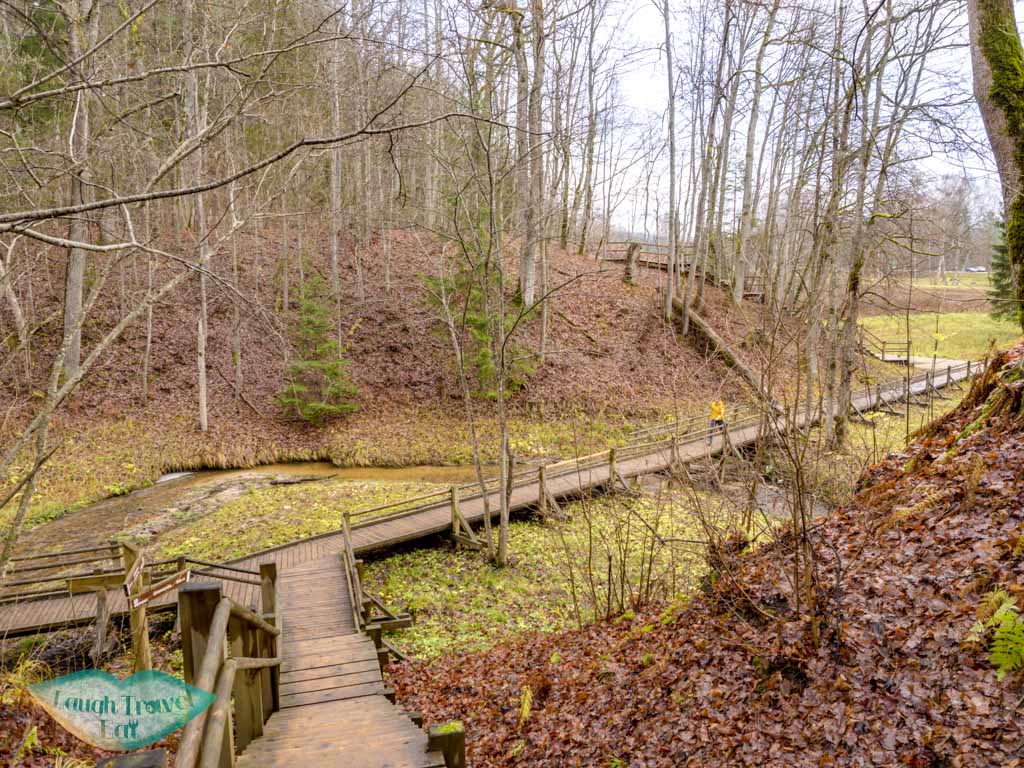 wooden walkways in gauja national park latvia - laugh travel eat