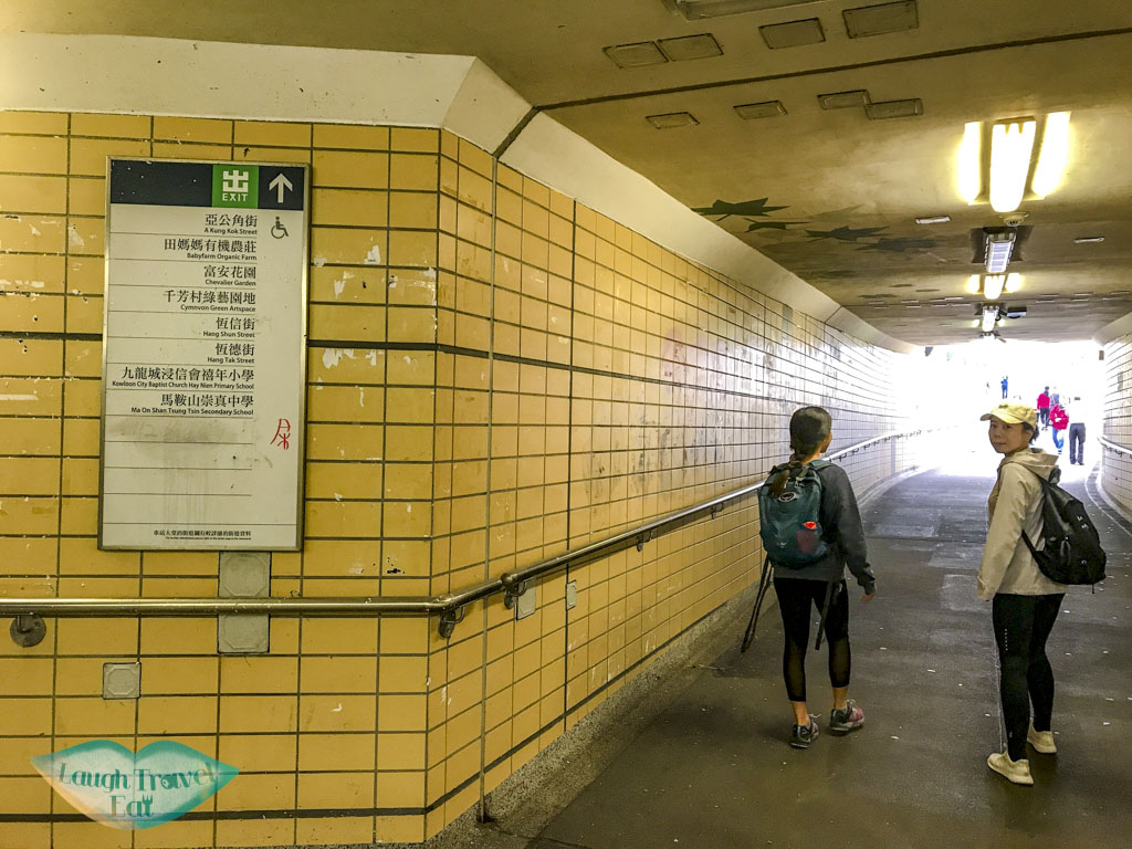 Tai Shui Hang MTR to Nui Po Shan Shatin Hong Kong - laugh travel eat-2