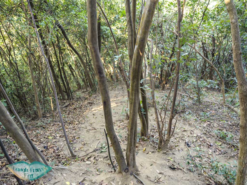 getting out of Nui Po Shan Shatin Hong Kong - laugh travel eat-4