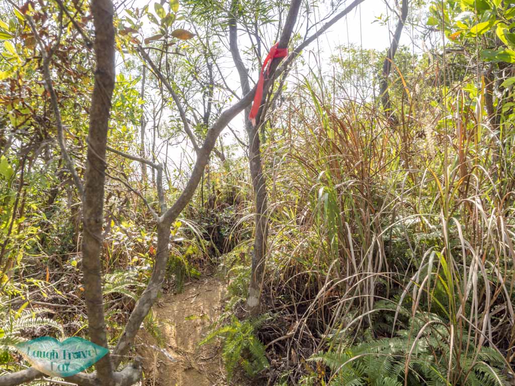 getting out of Nui Po Shan Shatin Hong Kong - laugh travel eat-2