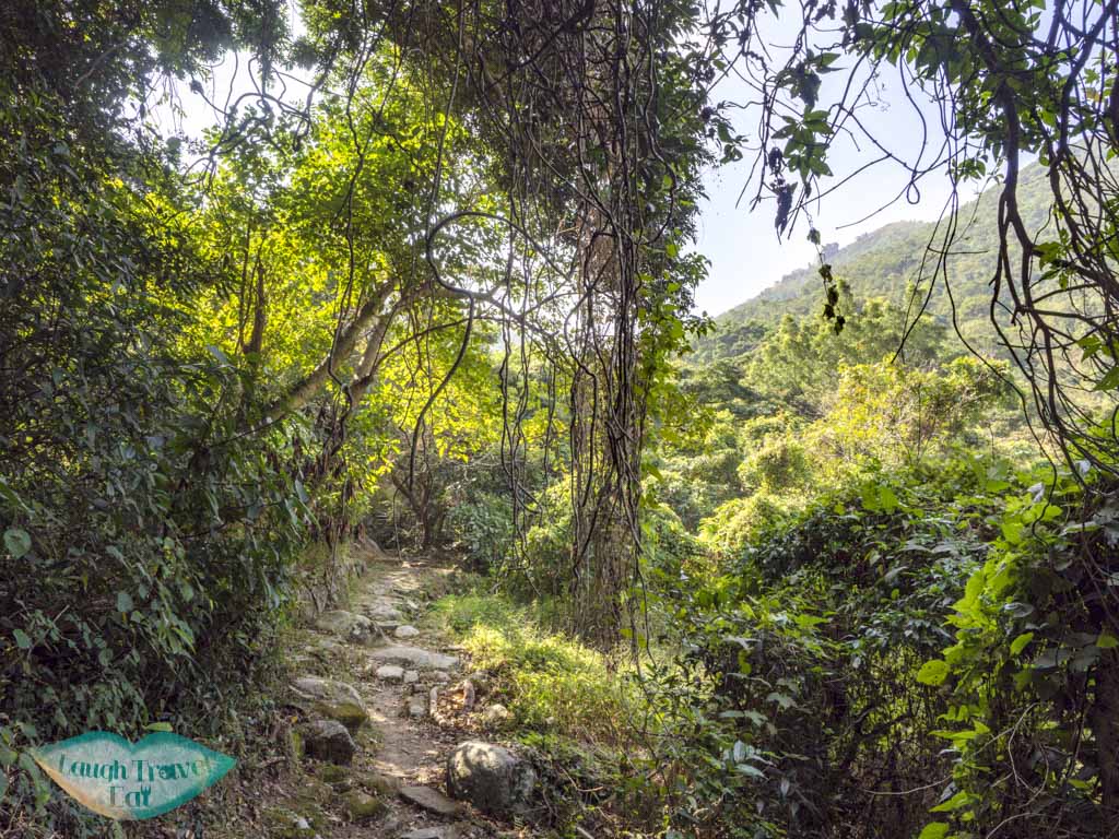 going up Nui Po Shan Shatin Hong Kong - laugh travel eat-2