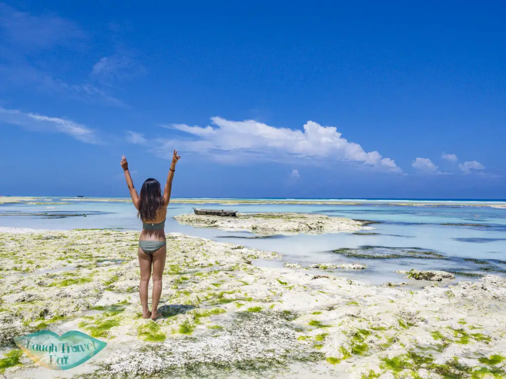 lunch for mnemba island snorkeling nungwi zanzibar tanzania - laugh travel eat-2